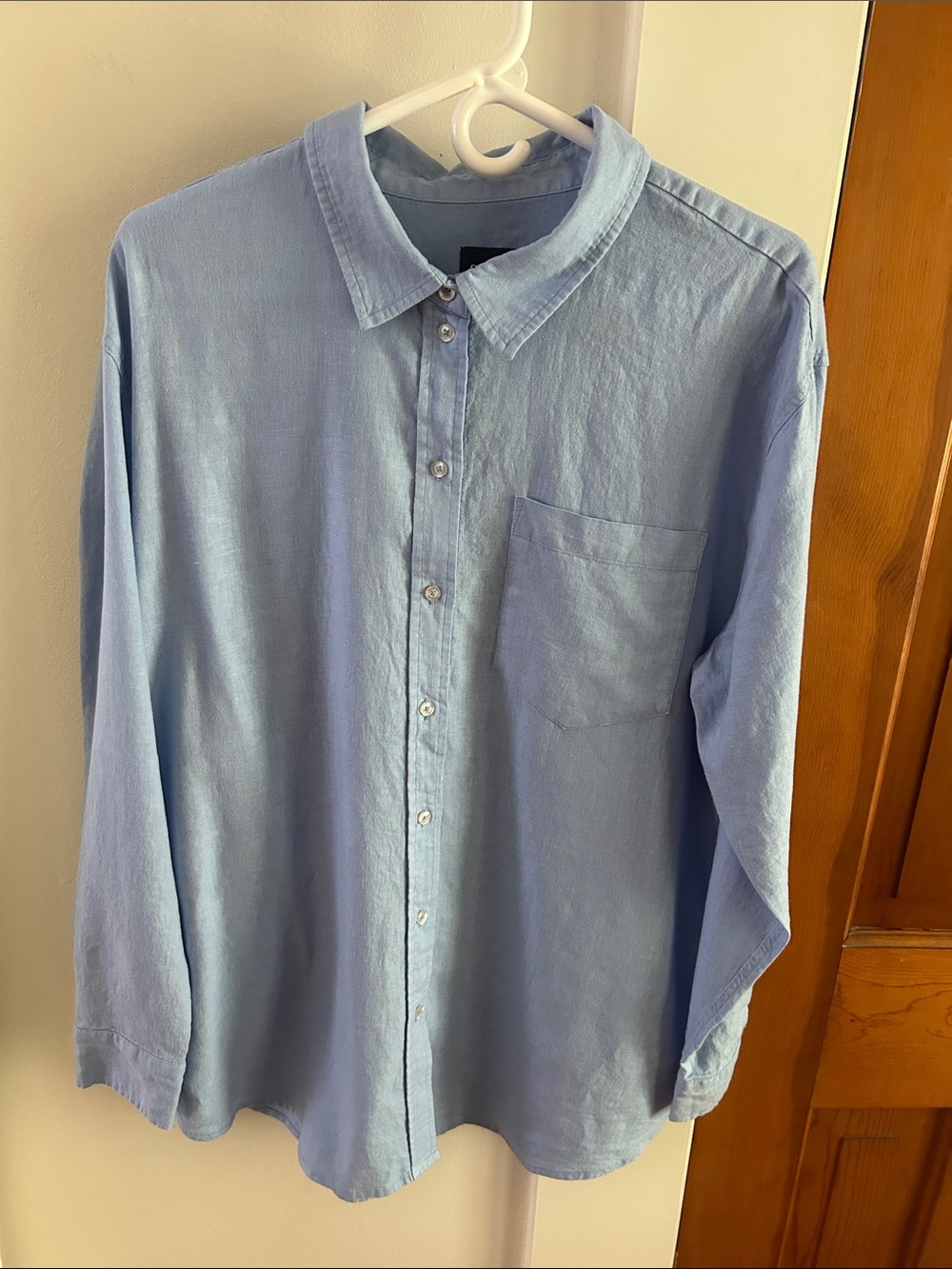 GAP Light Blue Casual Button-Down Shirt